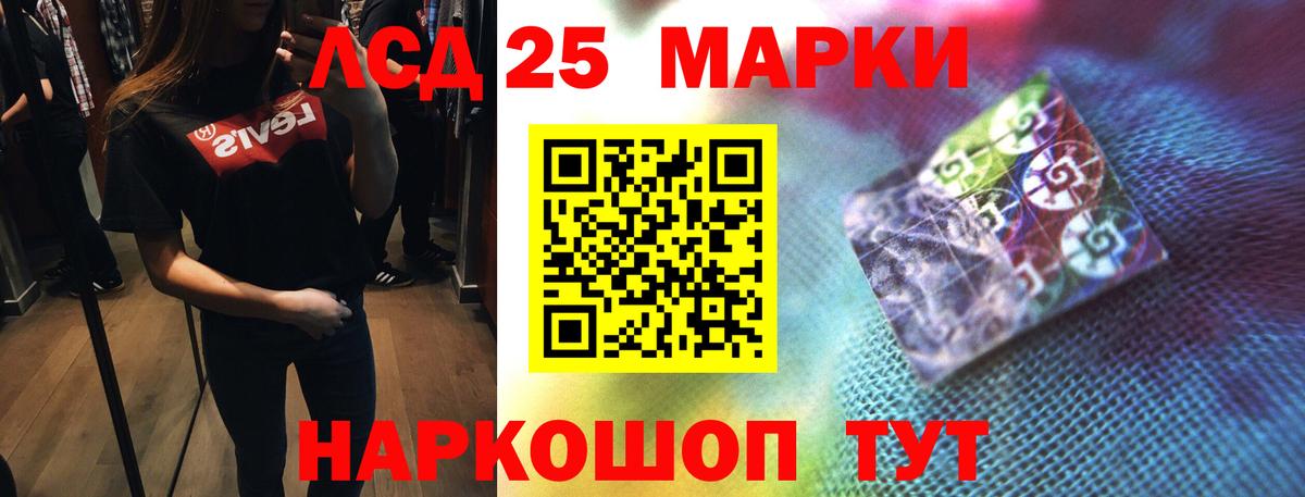 Псилоцибиновые грибы Новотроицк